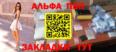 кокс Кингисепп