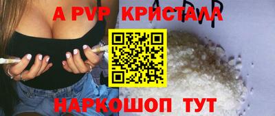 кокс Кингисепп
