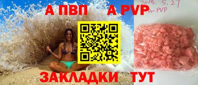 кокс Кингисепп