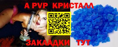 кокс Кингисепп