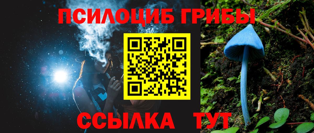 Галлюциногенные грибы прущие грибы Тобольск